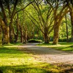 Zašto je Voždovac dobra opcija za život zeleni park