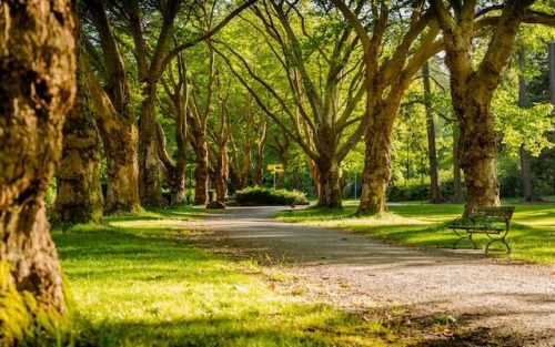 zeleni park