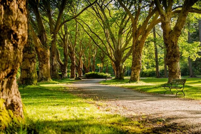 zeleni park