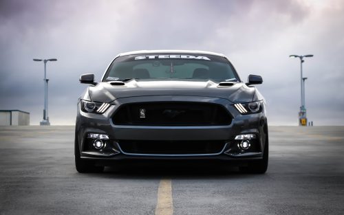 Shalby cobra