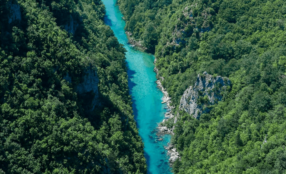 Pogled na Taru